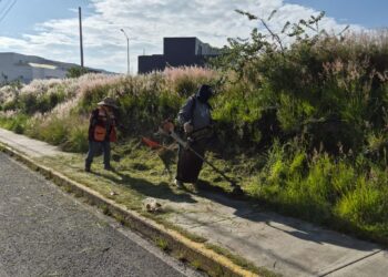 Mantiene Tonantzin Fernández trabajo constante en el mejoramiento de parques y áreas verdes
