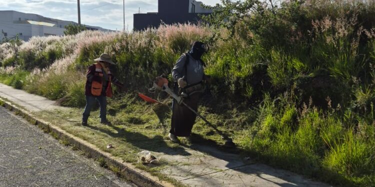 Mantiene Tonantzin Fernández trabajo constante en el mejoramiento de parques y áreas verdes