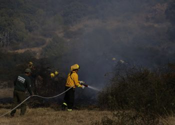 Puebla redujo 57% la superficie dañada por incendios forestales en 2025