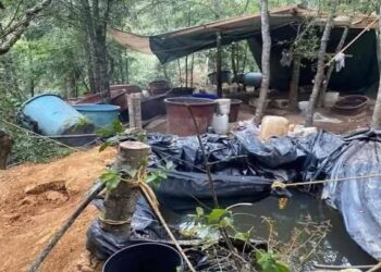 Desmantelan laboratorio clandestino de metanfetamina en Jopala; abastecía a Puebla y Veracruz