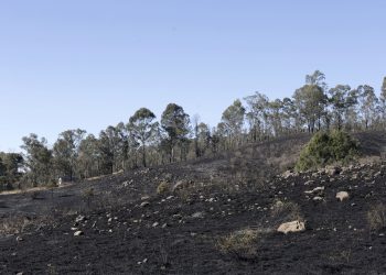 Disminuyen incendios forestales y superficie afectada en Puebla durante 2026