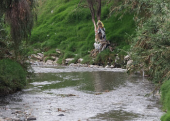 Preparan proyecto integral para disminuir inundaciones en el río Alseseca