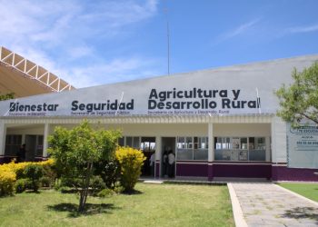 Casas Carmen Serdán también brindan atención a mujeres trans que solicitan apoyo