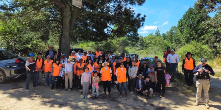 Voluntariado de Altosano y Fundación GCM participa en jornada de reforestación 2026 en Los Molinos