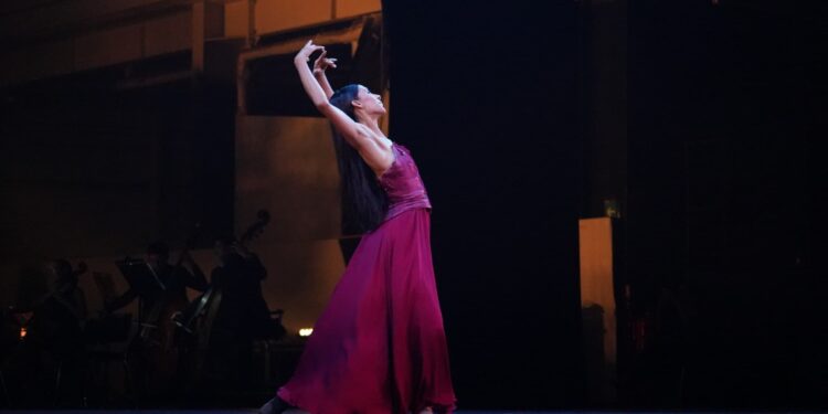 Logra lleno total la Gala de Elisa Carrillo impulsada por Pepe Chedraui