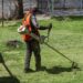 Mantiene Pepe Chedraui poda y chapeo en parques y áreas verdes
