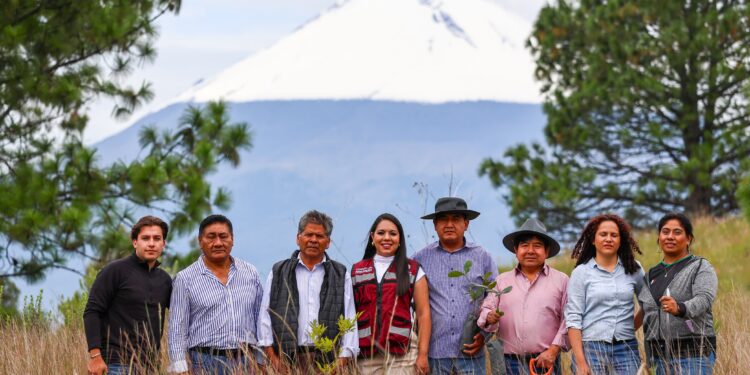 Mantiene Tonantzin Fernández reforestaciones constantes en el Cerro Zapotecas