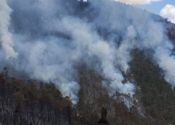 Tamaulipas suma 22 incendios forestales en lo que va de 2026