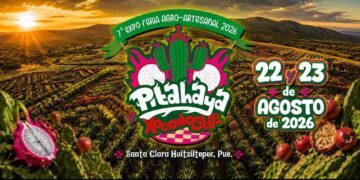 ¡Santa Clara Huitziltepec se viste de sabor con la 7ª Expo Feria de la Pitahaya y el Xoconostle!