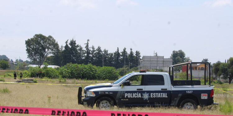 Localizan cadáver con huellas de mordeduras en terreno de Amozoc