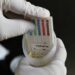 Morena deja en manos del Congreso propuesta de antidoping a candidatos