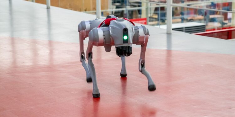 Un nuevo integrante de la IBERO Puebla: perro robot llega al campus