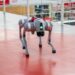 Un nuevo integrante de la IBERO Puebla: perro robot llega al campus