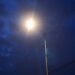 Moderniza Gobierno de Pepe Chedraui 101 luminarias en la colonia Alseseca