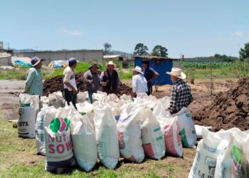Biofertilizante de Altosano Granjas Carroll impulsa cultivos en Veracruz y Puebla