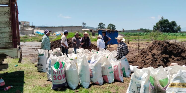 Biofertilizante de Altosano Granjas Carroll impulsa cultivos en Veracruz y Puebla