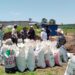 Biofertilizante de Altosano Granjas Carroll impulsa cultivos en Veracruz y Puebla
