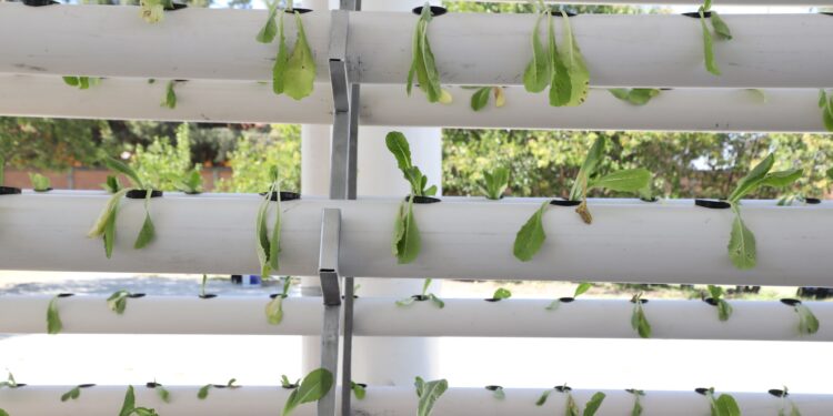 Pepe Chedraui impulsa la sustentabilidad alimentaria en planteles educativos
