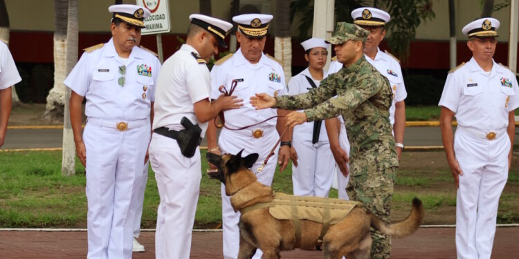 Adiós a ‘Hermes’: la Marina reconoce trayectoria de binomio canino en Manzanillo