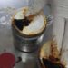 Decomisan un cargamento de ayahuasca procedente de Perú en aeropuerto de Ciudad de México