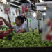 Inflación en México acelera en agosto de 2026; se ubica en 3.26%