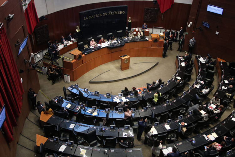 Vista general del pleno del Senado en la Ciudad de México (México). Imagen de archivo. EFE/Madla Hartz