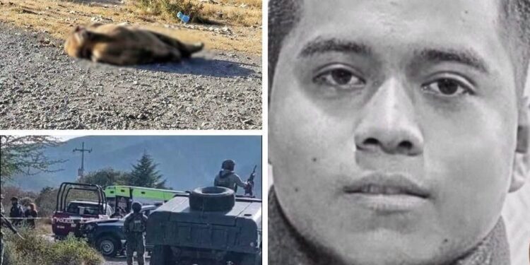 Fiscalía revela que Mateo fue secuestrado: pagaron rescate y después lo asesinaron