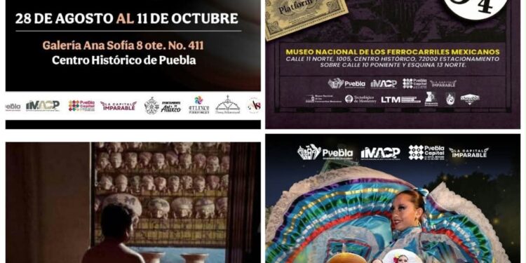 Gobierno de Pepe Chedraui invita a sumarse a las actividades culturales de este fin de semana