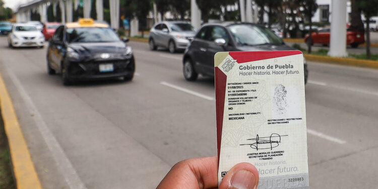 Deudores alimentarios podrían perder licencia de conducir