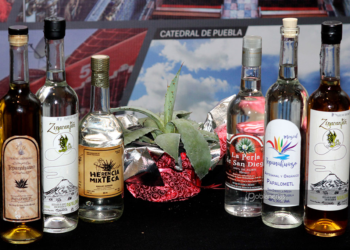 Productores de todo el país se reunirán en Puebla por el Encuentro Nacional del Mezcal