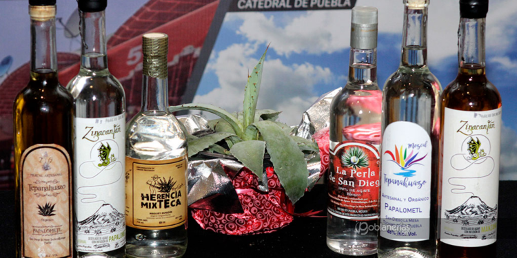 Productores de todo el país se reunirán en Puebla por el Encuentro Nacional del Mezcal