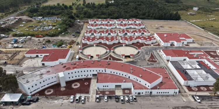 Célula de Bienestar Animal en Puebla alcanza 88% de avance