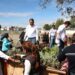 Gobierno de Pepe Chedraui impulsa educación ambiental con 120 huertos escolares y nuevos santuarios de polinizadores