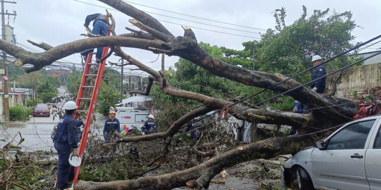 Alerta por Frente Frío 2: Llaman a extremar precauciones en siete estados