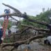 Alerta por Frente Frío 2: Llaman a extremar precauciones en siete estados