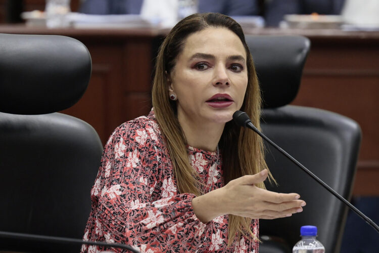 La consejera del Instituto Nacional Electoral (INE), Carla Humphrey. Imagen de archivo. EFE/José Méndez