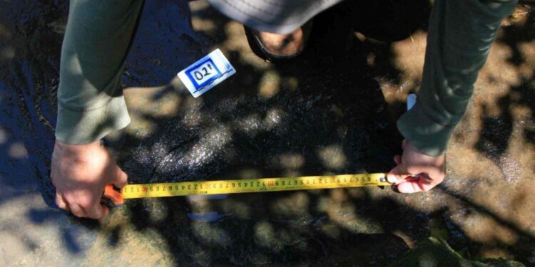 Hallan en Michoacán huellas de dinosaurios de hace 65 millones de años