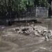 Agua de Puebla atiende 16 puntos por lluvias registradas este 11 de octubre