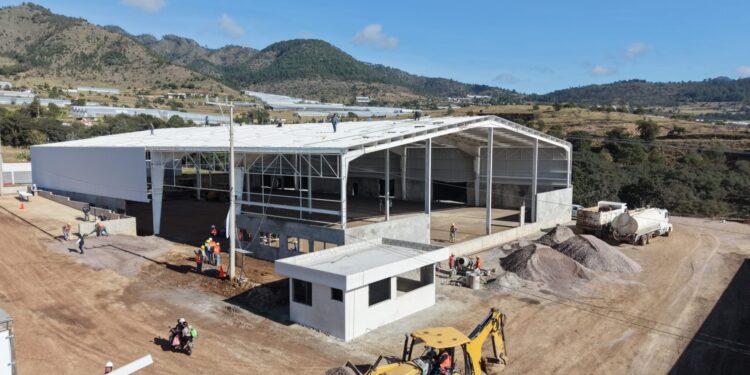 Armenta impulsa diversificación económica con CITRAA de Aquixtla; invertirán 110 mdp