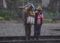 Lluvias en Puebla dejan deslaves y caída de árboles; descartan víctimas