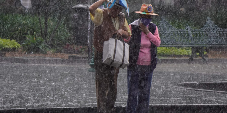 Lluvias en Puebla dejan deslaves y caída de árboles; descartan víctimas