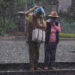 Lluvias en Puebla dejan deslaves y caída de árboles; descartan víctimas