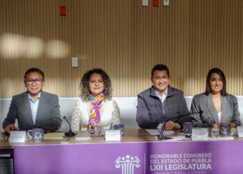 Delfina Pozos busca regular eventos de entrega de apoyos sociales en Puebla