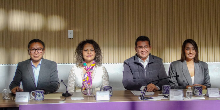Delfina Pozos busca regular eventos de entrega de apoyos sociales en Puebla