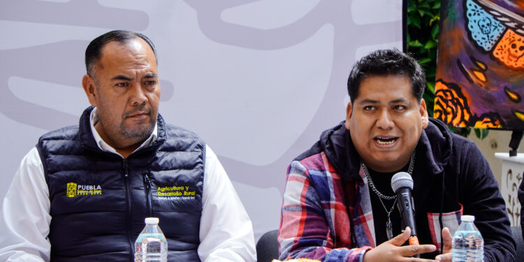 Acatzingo celebrará el Festival Regional de Ofrendas y Catrinas del 23 al 25 de octubre