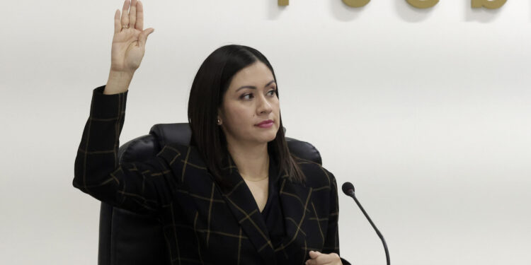 Poblana Blanca Yassahara Cruz asume presidencia provisional del INE