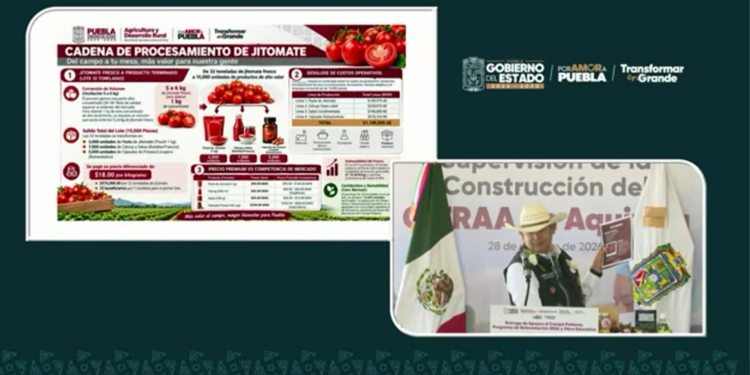 Armenta apuesta por industrializar el jitomate de la Sierra Norte y reducir pérdidas de productores