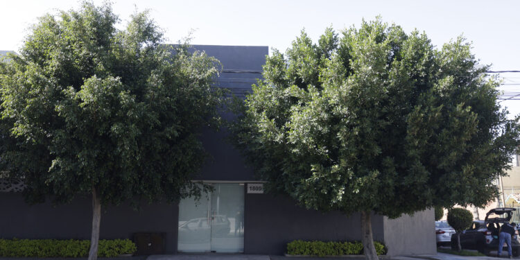 Morena estrenará oficinas propias en Puebla y dejará de pagar 87 mil pesos de renta